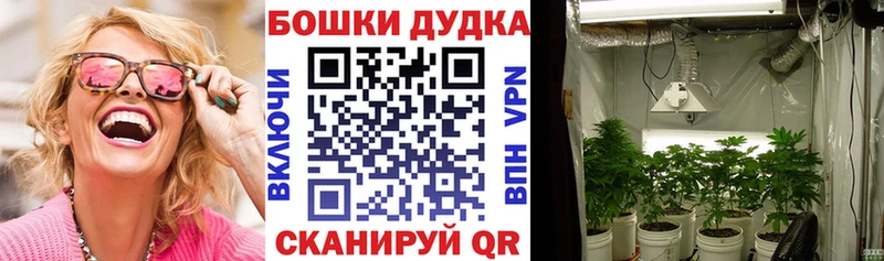 Каннабис OG Kush Первомайск